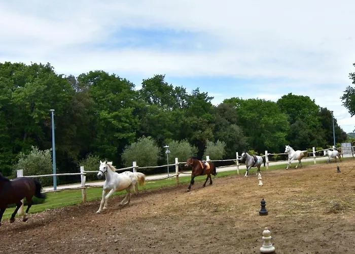 Noa 2 Tar By Interhome Apartment Tar-Vabriga