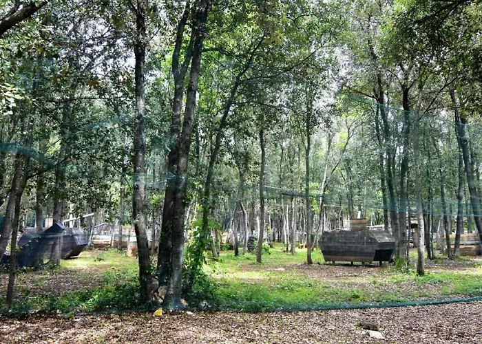 Noa 2 Tar By Interhome Apartment