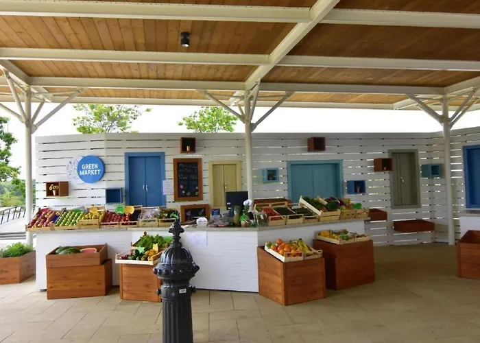 Noa 2 Tar By Interhome Apartment Tar-Vabriga