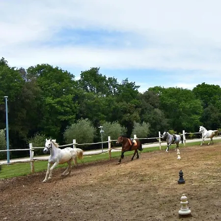 Noa 2 Tar By Interhome 아파트 Tar-Vabriga