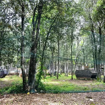 Noa 2 Tar By Interhome Apartment